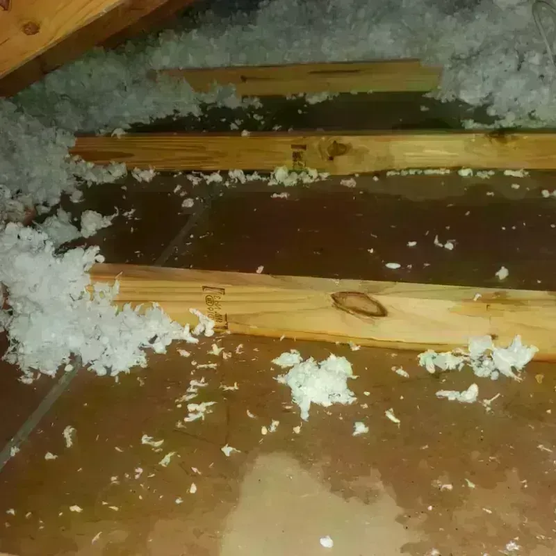 Attic Water Damage in Fentress County, TN